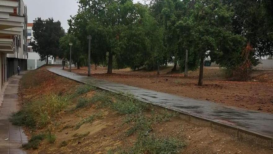 Estado actual de la calle Acera de San Julián, donde mañana se iniciará una mejora de las zonas verdes.