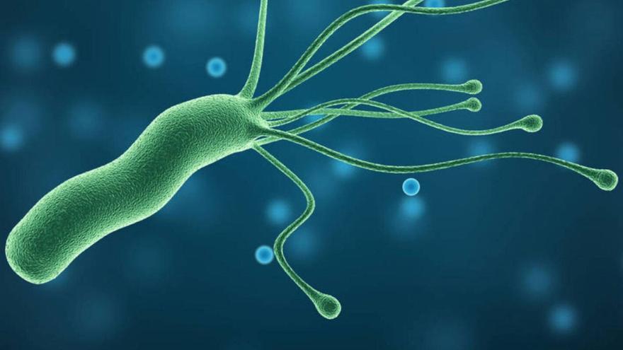 La vida en Marte sería similar a nuestras bacterias intestinales: descubre cómo se vería