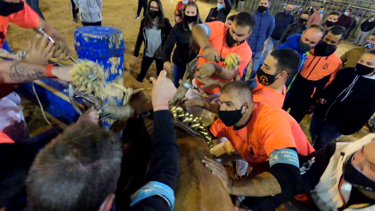 Polémica por la celebración del 'bou embolat' en Vila-real