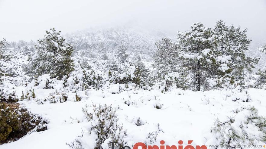 Continúa la nevada en las zonas altas de la comarca del Noroeste