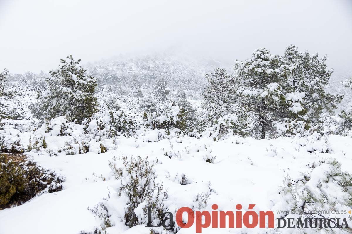 Continúa la nevada en las zonas altas de la comarca del Noroeste