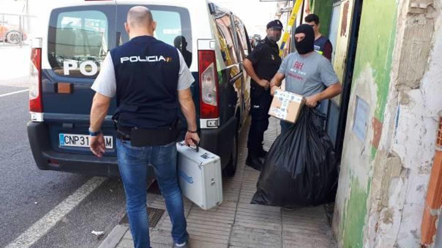 Un agente extrae del bajo de la avenida de Carcaixent las plantas de marihuana incautadas.