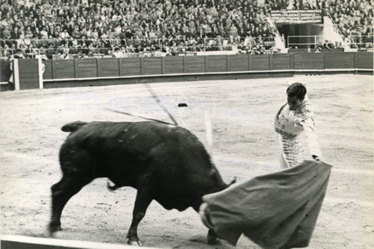 Reaparició de Benito Borrero ’Chamaco’ a la Monumental.