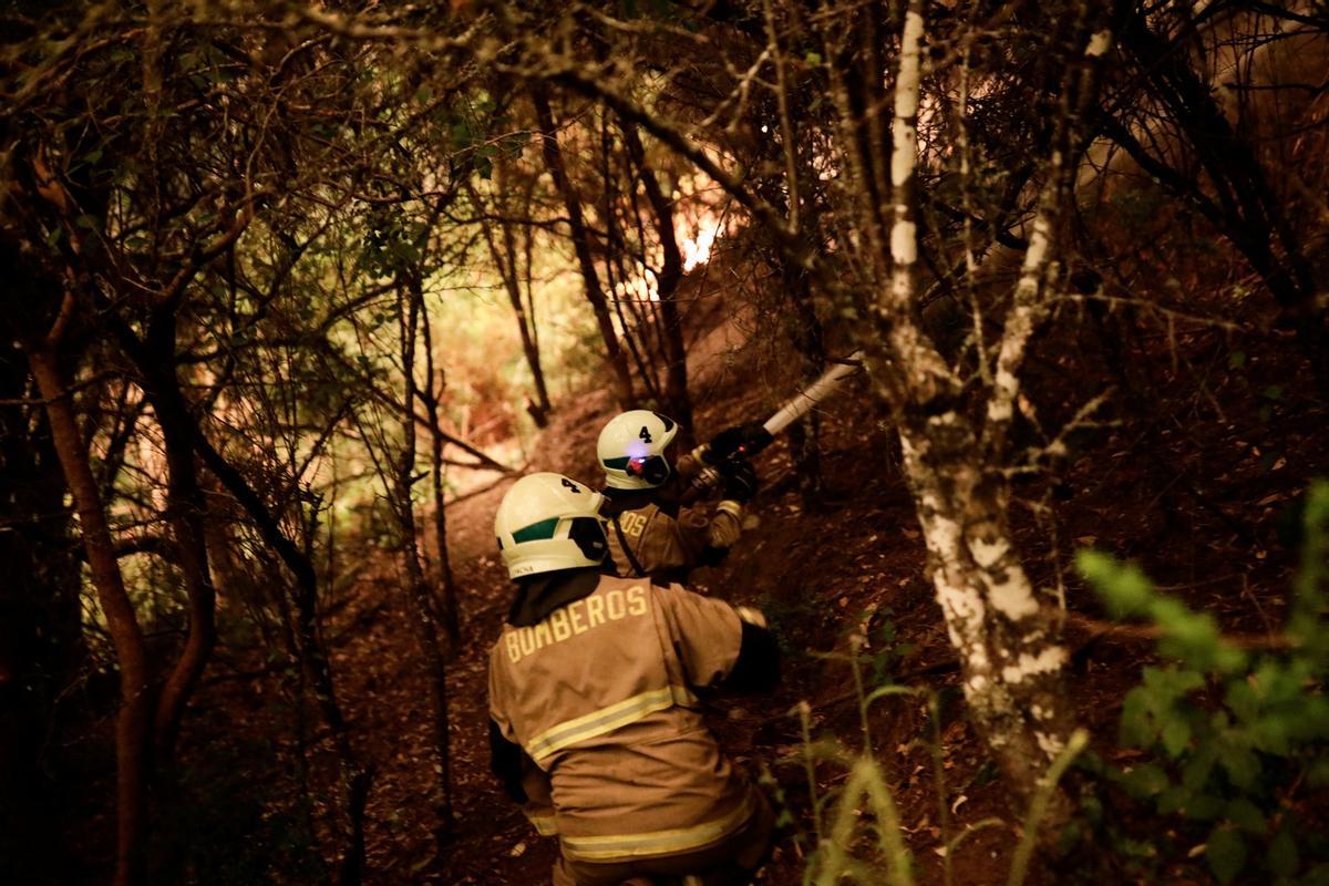 Los incendios que arrasan Chile dejan ya más de 20 muertos