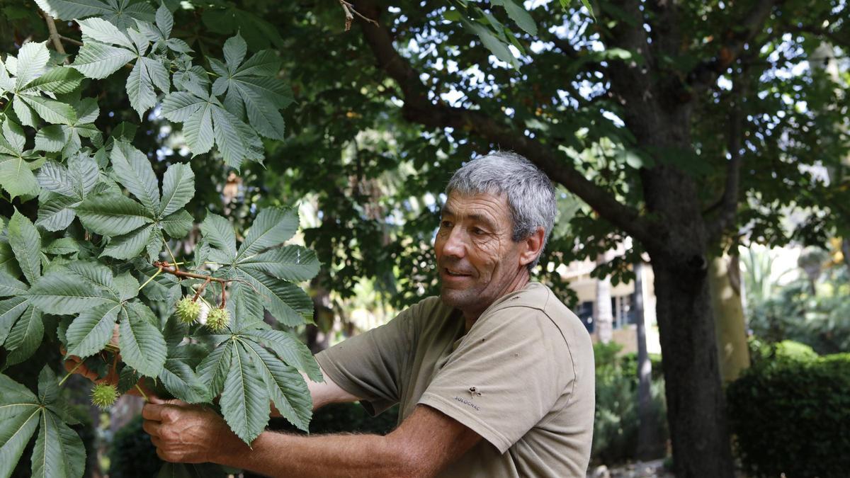 Miguel Garcias arbeitet seit 40 Jahren in den Jardines.