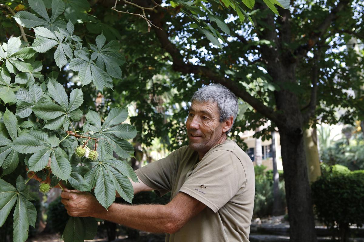 Miguel Garcias arbeitet seit 40 Jahren in den Jardines.