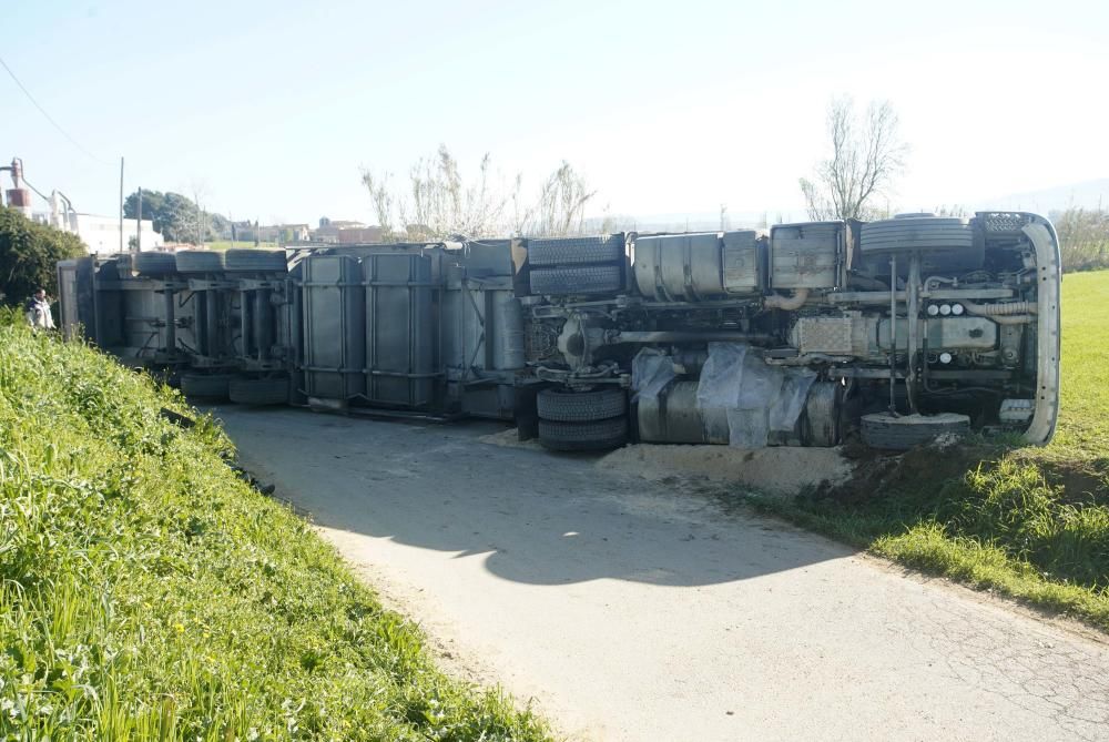 Bolca un camió amb porcs a la Tallada d'Empordà