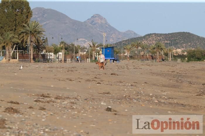 Primer día de paseos al aire libre en Mazarrón