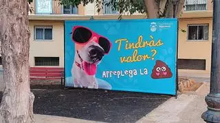 Algemesí reclama civismo a los propietarios de las mascotas