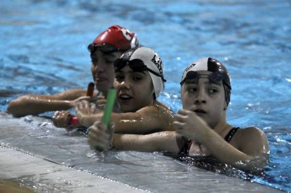 Trofeo San Silvestre El Olivar de natación