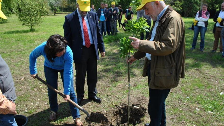 María Jesús Álvarez, plantando un árbol en Navia.