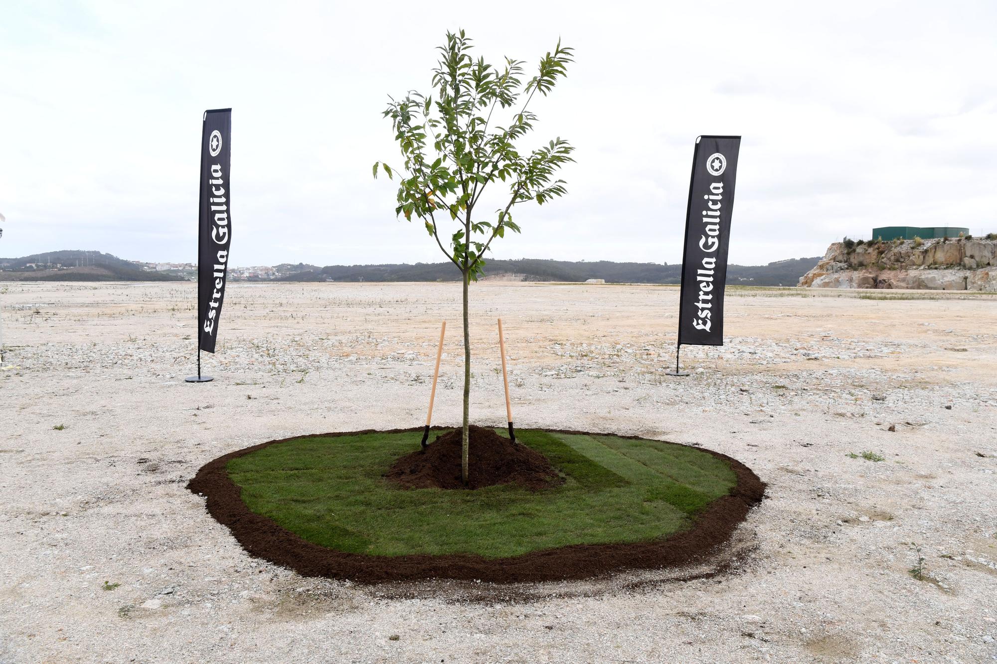 Primera piedra de la nueva fábrica de Estrella Galicia en Morás (Arteixo)