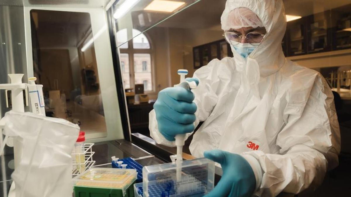 Un científico secuencia las muestras recuperadas en Groenlandia para extraer muestras de ADN.