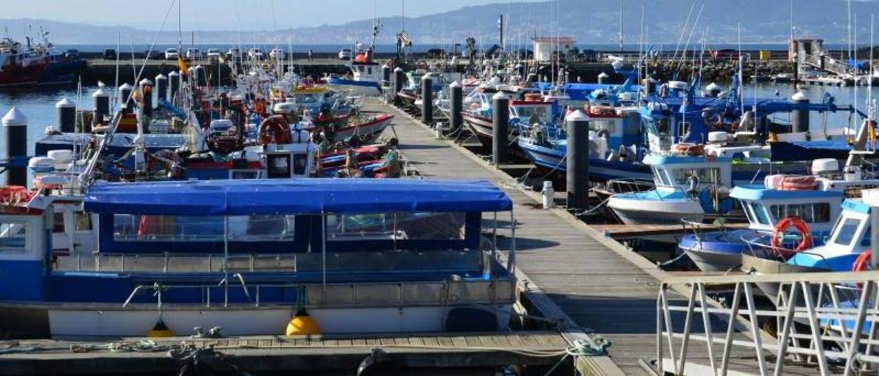 Los pantalanes de los barcos pesqueros del puerto de Bueu. |   // GONZALO NÚÑEZ