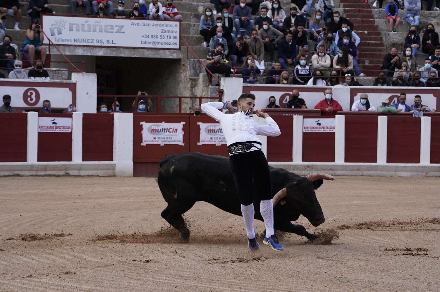 Concurso de Cortes Zamora 2021