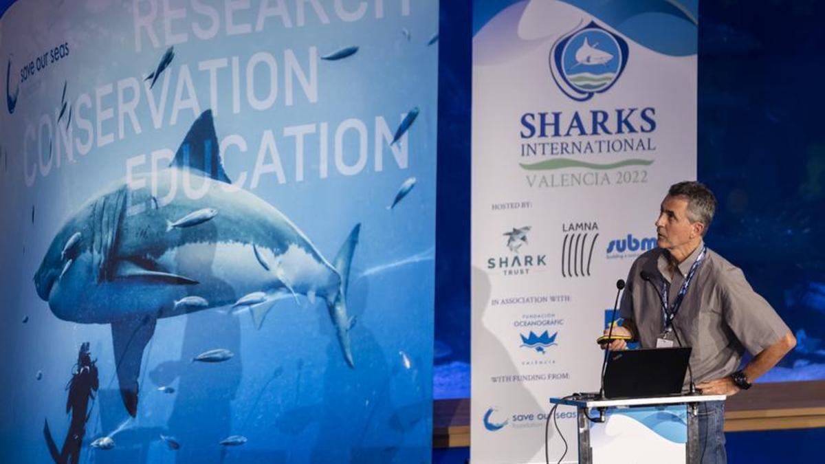 El Oceanogràfic acoge el congreso internacional por la conservación de los tiburones