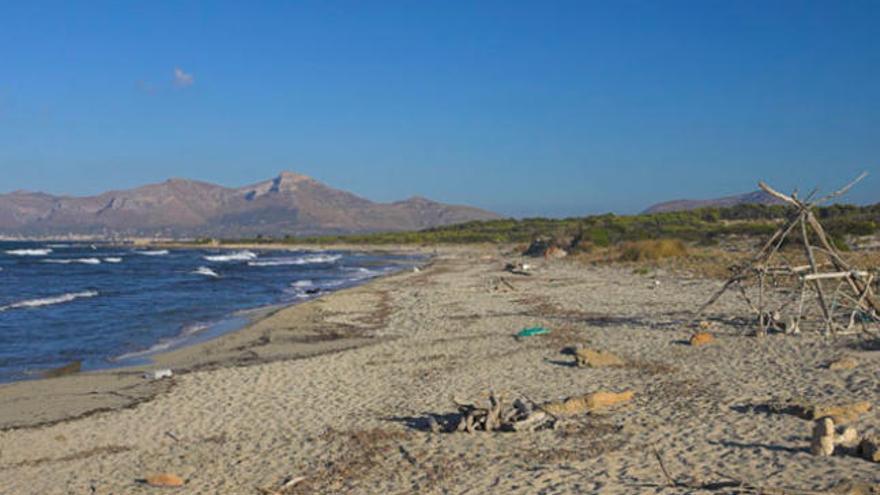 Playa de las Assussenes, también conocida como s&#039;Arenal des Casat, en Santa Margalida.