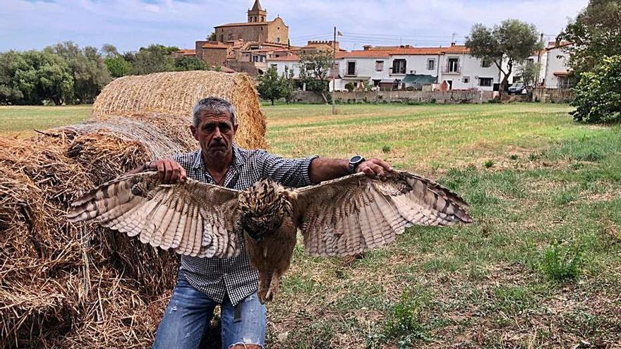 El president de l’entitat, Jaume Ramot, amb el duc mort. | GRUP DE NATURA STERNA