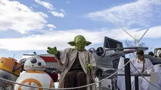 Carnaval de Playa de Palma un estallido de color y mucho jolgorio familiar