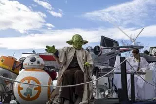 Carnaval de El Arenal-Playa de Palma 2026: desde fregonas andantes al mundo del cine