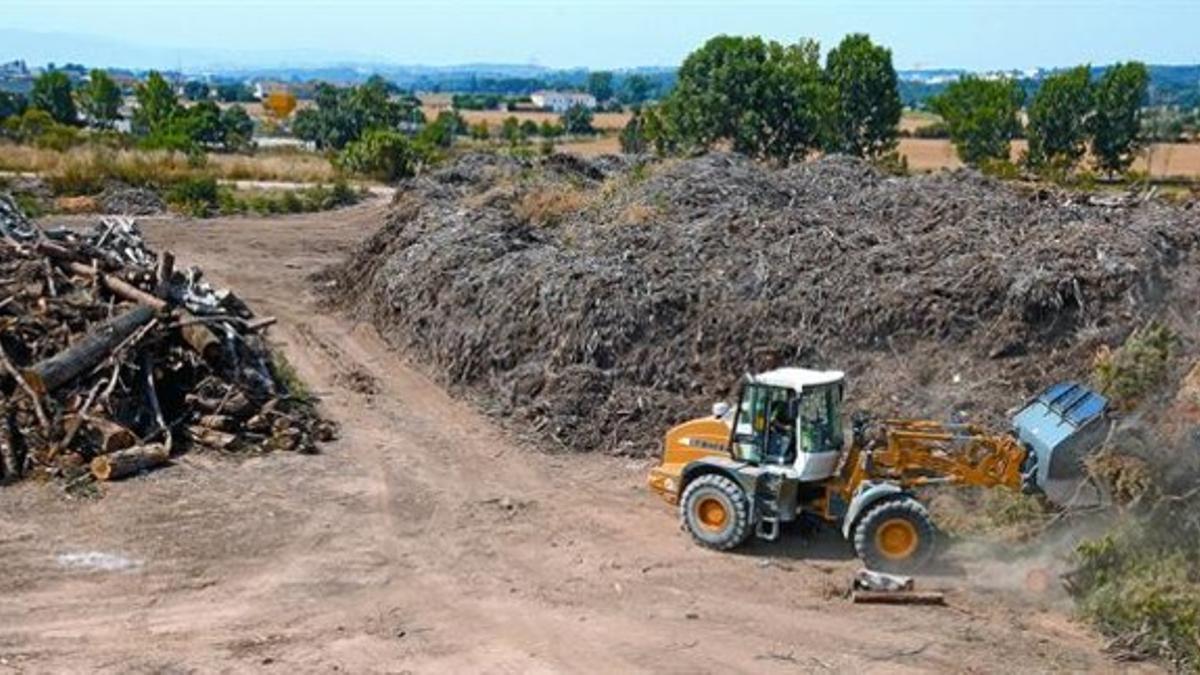 Acumulaciones de madera en los terrenos donde está prevista la construcción de la nueva central de biomasa de La Garriga, la semana pasada.