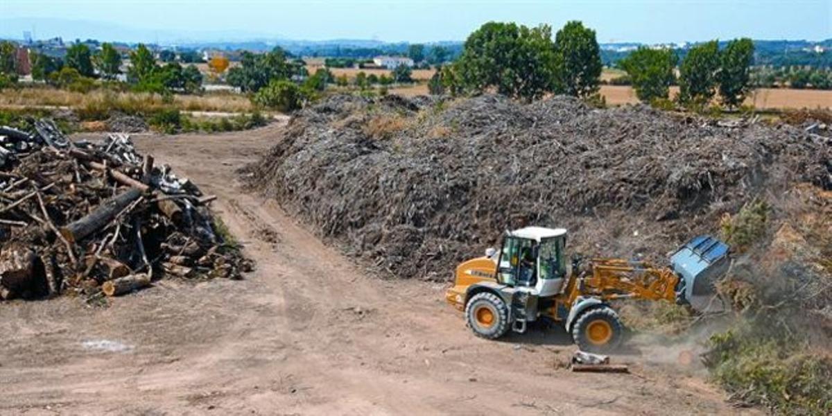 Acumulaciones de madera en los terrenos donde está prevista la construcción de la nueva central de biomasa de La Garriga, la semana pasada.
