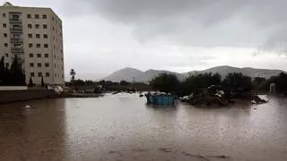 Queja vecinal por la tala de árboles y las posibles inundaciones en un nuevo aparcamiento de Ibiza