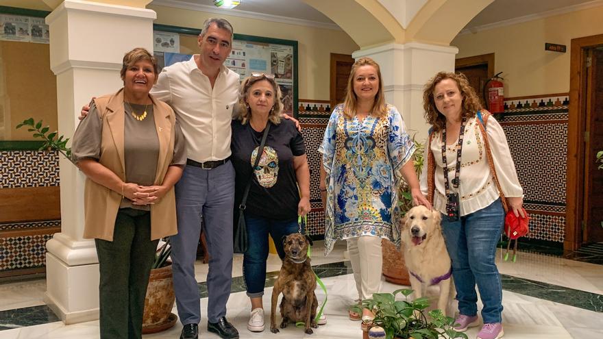 Los perros ya pueden entrar en las sedes municipales de Benalmádena