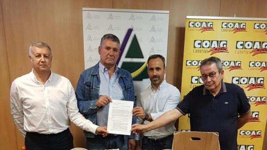The island livestock launches an SOS in the face of the danger “of extinction”