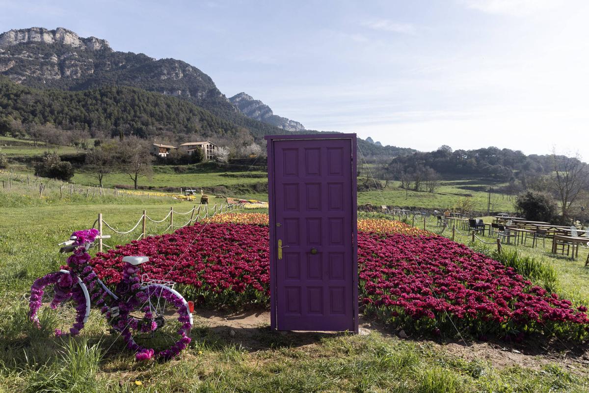 Una de las puertas coloridas con tulipanes a juego.