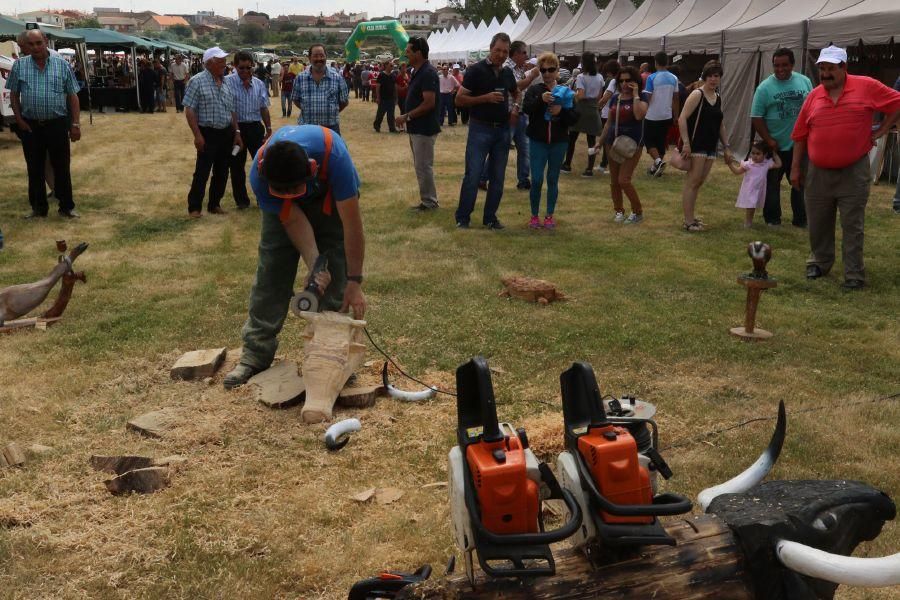 Feria de la Raza Sayaguesa en Bermillo