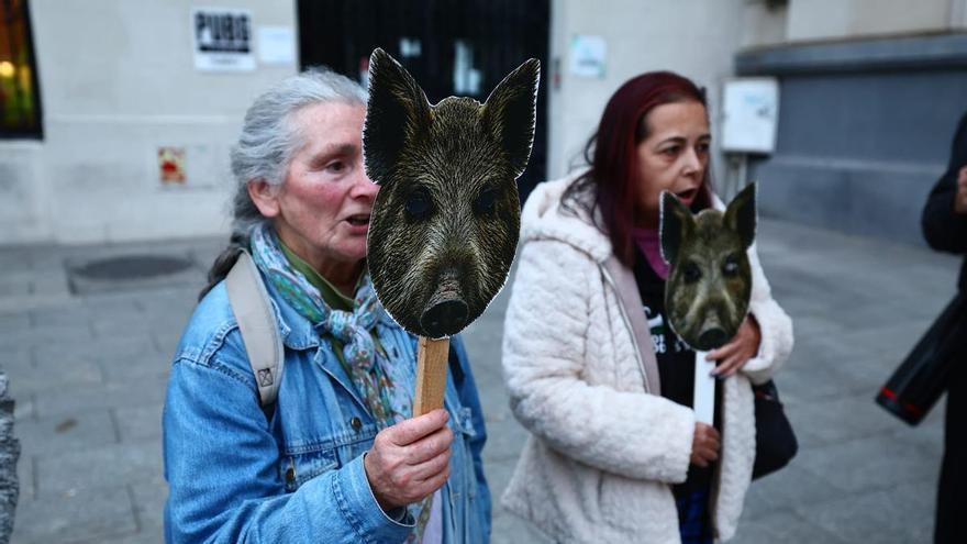 Protesta de los animalistas para denunciar la muerte de un jabalí en un bar de Zaragoza