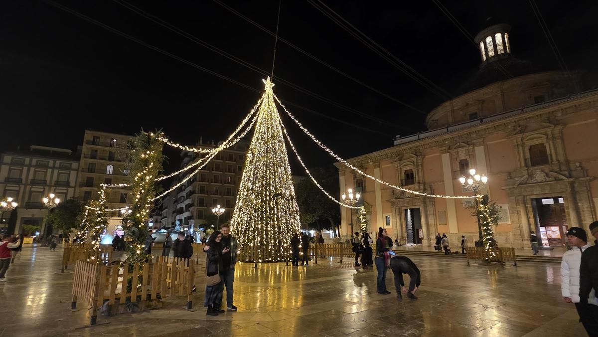 Árbol en la Plaza de la Virgen