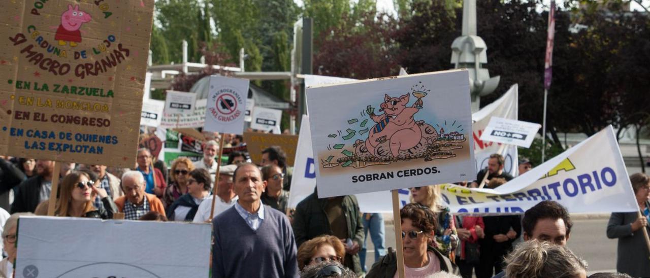 Zamoranos en una manifestación de macrogranjas.