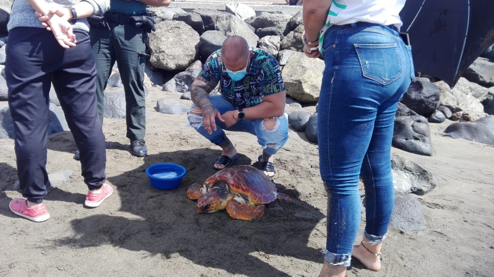 Rescate de una tortuga en El Burrero (02/05/21)