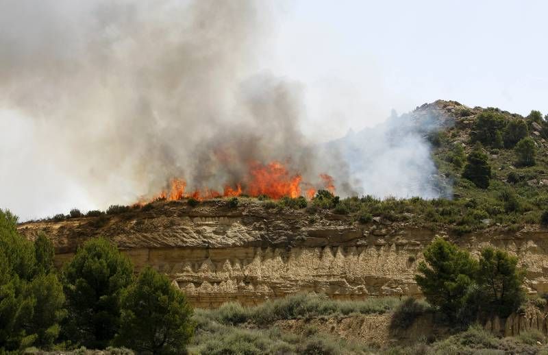 Fotogalería del incendio en el término de Luna en las Cinco Villas