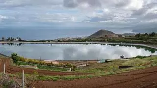 El escaso volumen de las balsas preocupa ante un verano de alto riesgo en Tenerife