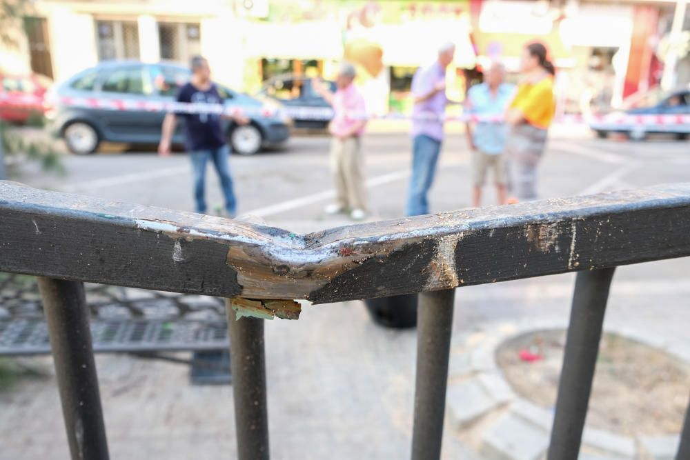 Cinco personas resultan heridas por la caída de la rama de un árbol en Elda