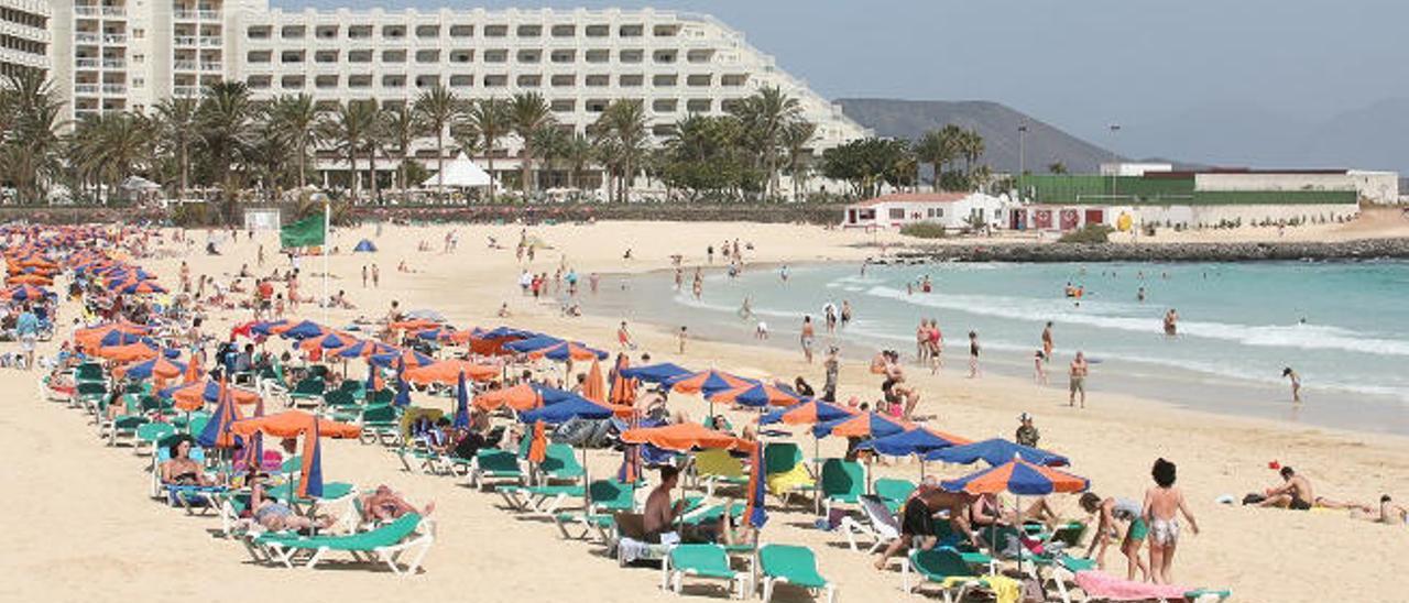 Imagen de uno de los sectores de hamacas y sombrillas en la playa de Corralejo, en el entorno de los hoteles.