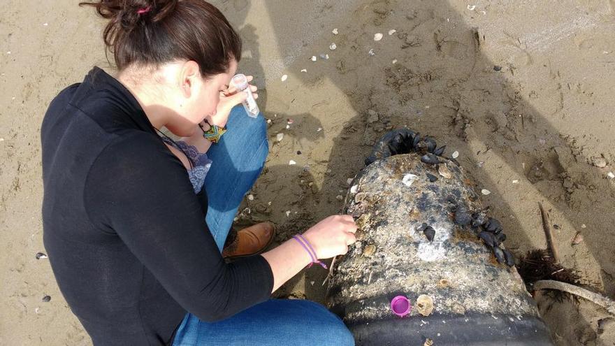 Los plásticos en el mar, vehículo de transporte de especies exóticas e invasoras