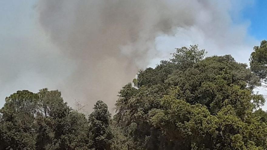 El foc de dissabte a Vilanant ha cremat un total de 7,85 ha entre arbrat i terreny agrícola