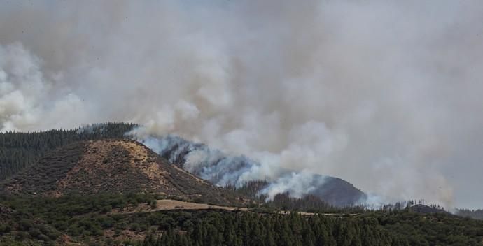 Incendio en Artenara (Gran Canaria)