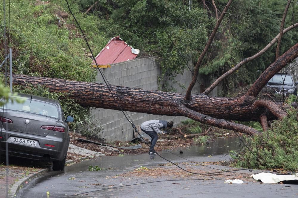 Destrosses a Riells i Viabrea per un tornado