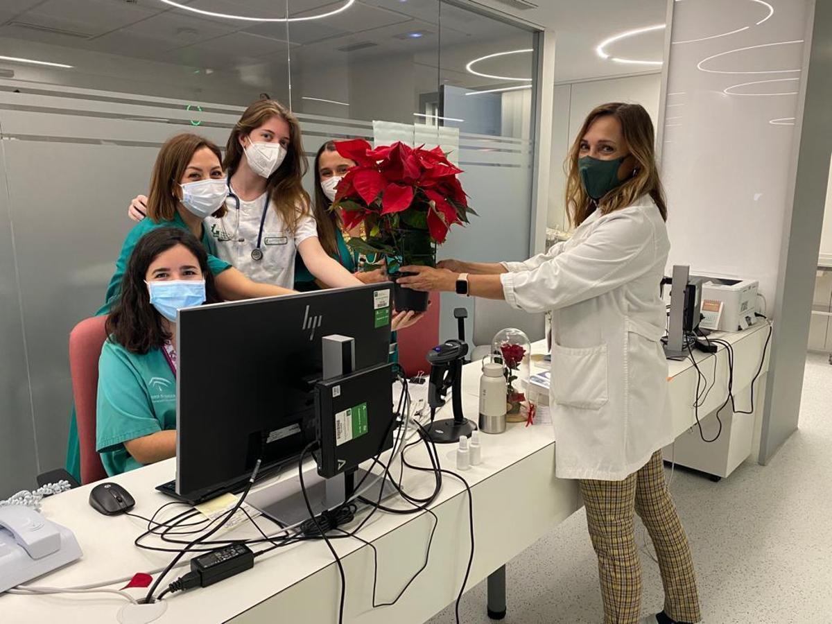 Los elementos navideños típicos como árboles, corazones, pascueros, etc., reciben a pacientes y profesionales en las zonas de acceso de los diferentes edificios del complejo hospitalario.