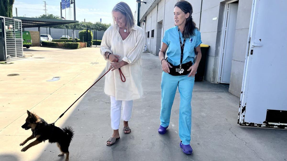 Isabel Albás en las instalaciones de Sanidad y Bienestar Animal (SBA) de Sadeco.