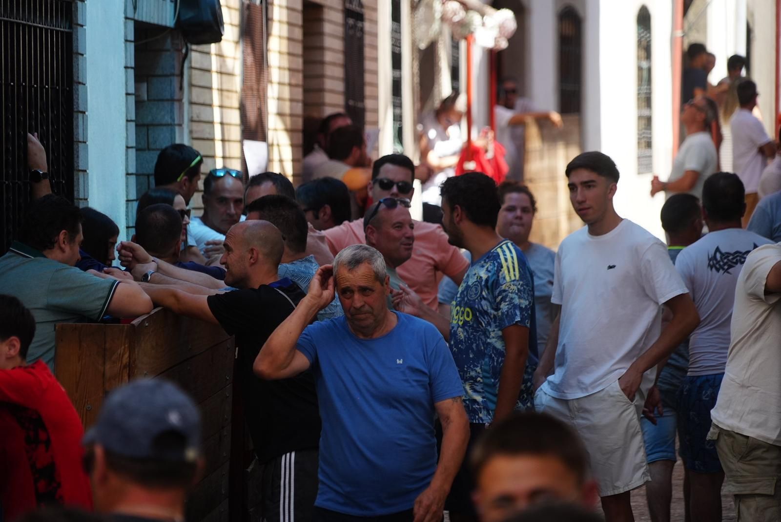 Gran ambiente, numeroso público y emoción en los encierros taurinos de El Viso