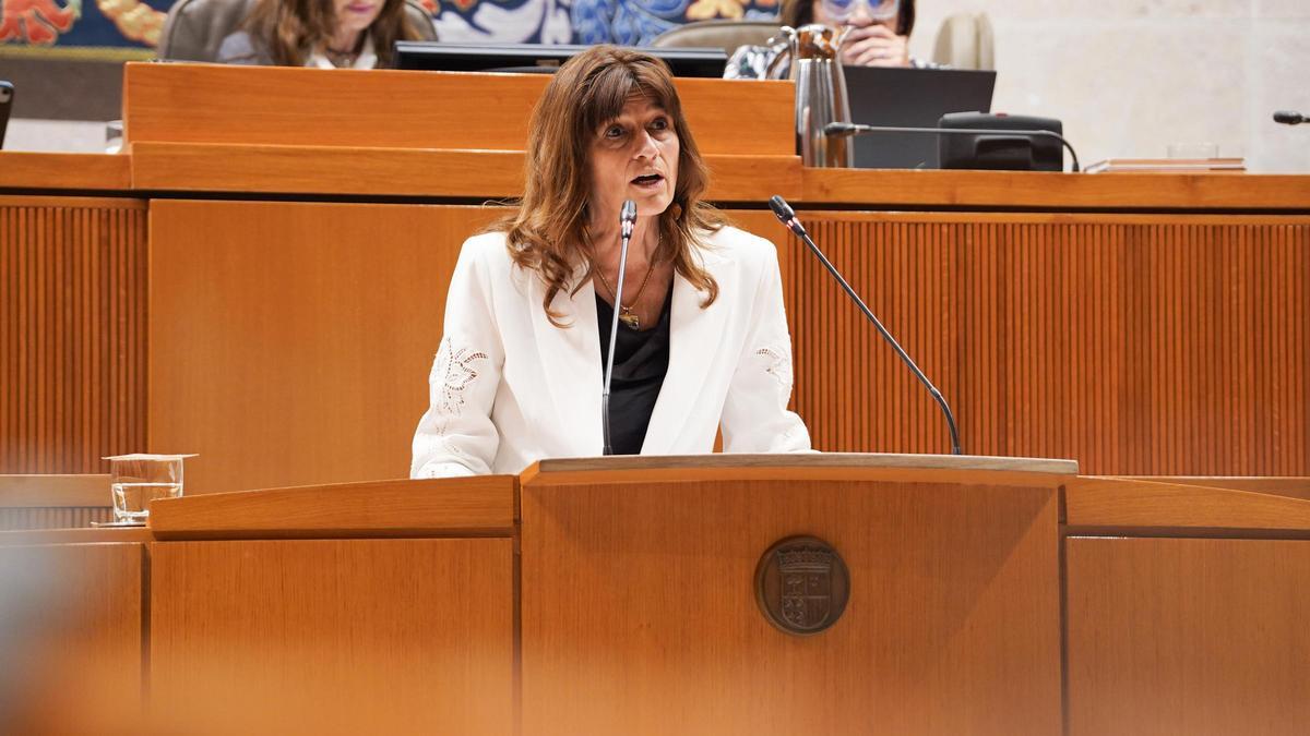 La diputada del PSOE Carmen Dueso