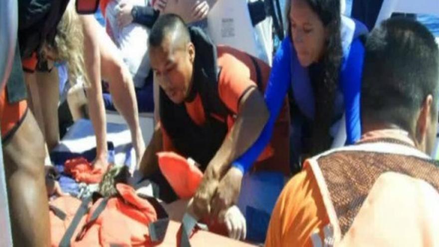 Una turista muere en México tras ser golpeada por una ballena