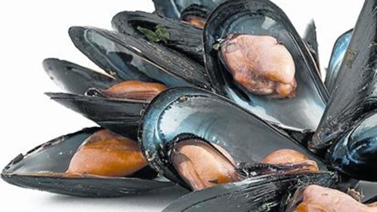 Mejillones del Delta de l'Ebre, que tienen en junio su calidad óptima.