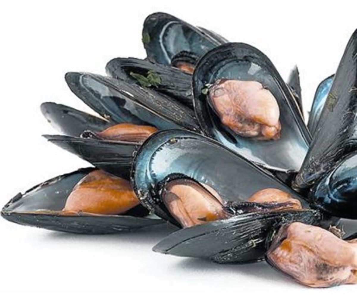 Musclos del Delta de l’Ebre, que tenen al juny la seva qualitat òptima. Musclos del Delta de l’Ebre, que tenen al juny la seva qualitat òptima.
